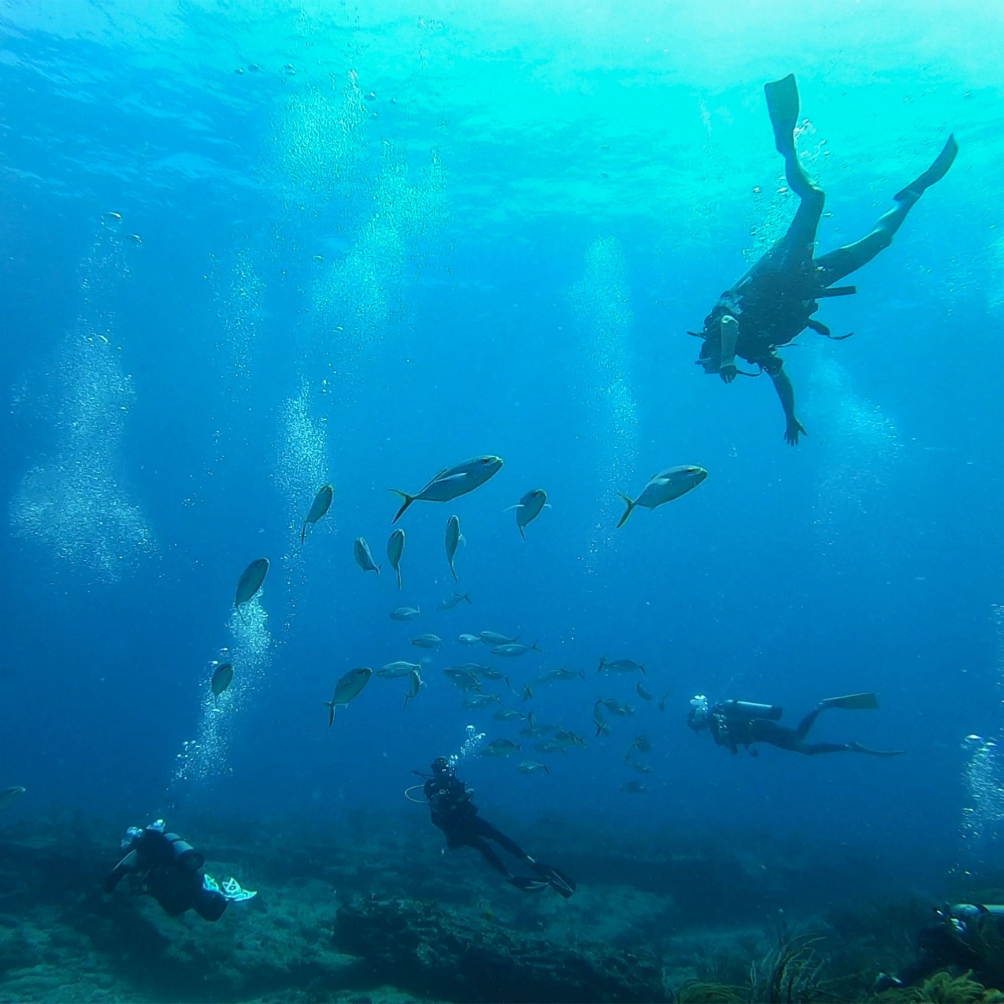 Top Yacht Diving Destinations around Sint Maarten